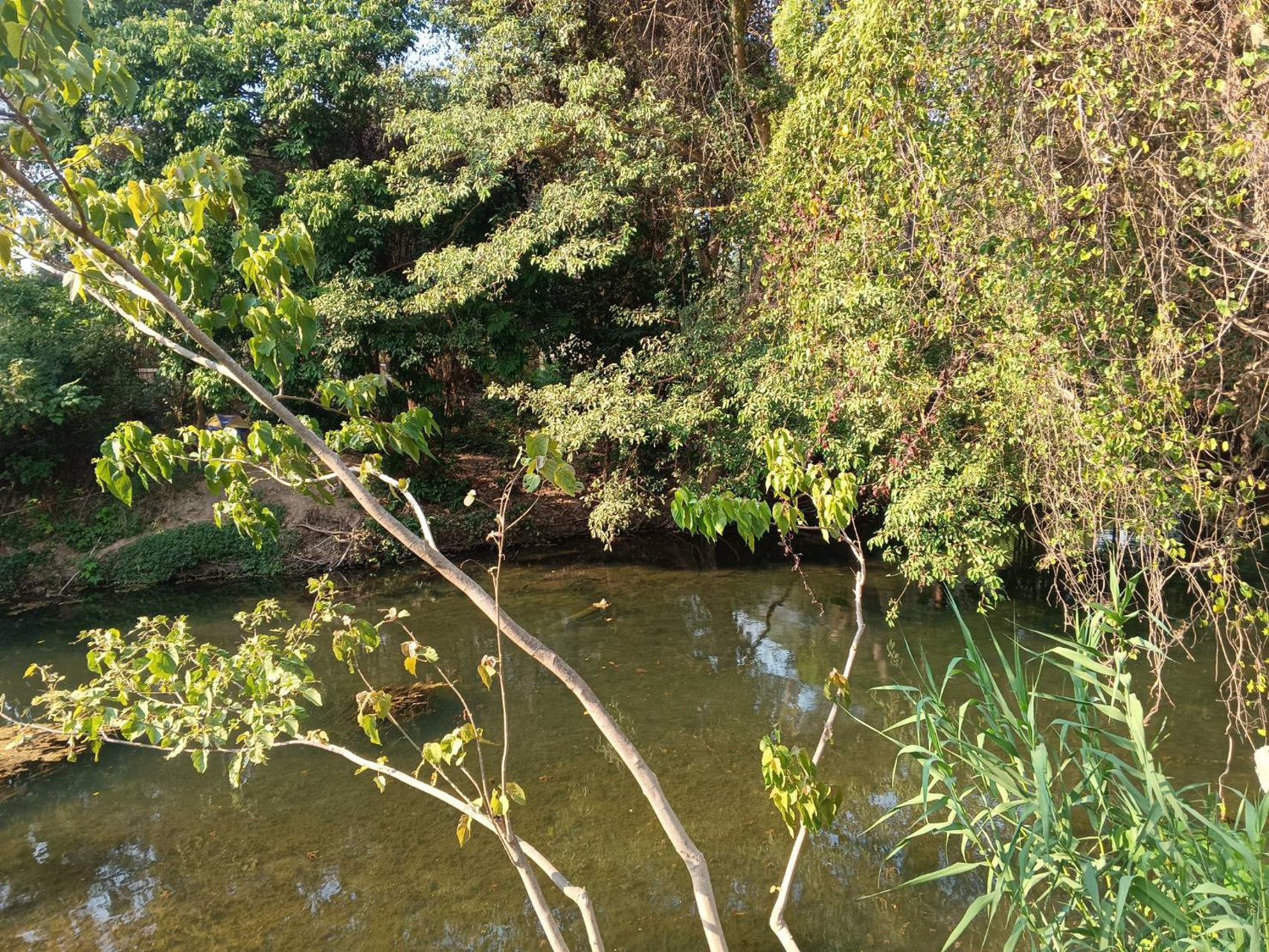 ขายที่ดิน-ทำเลหัวมังกรทองท้องเก็บทรัพย์หางนำโชค