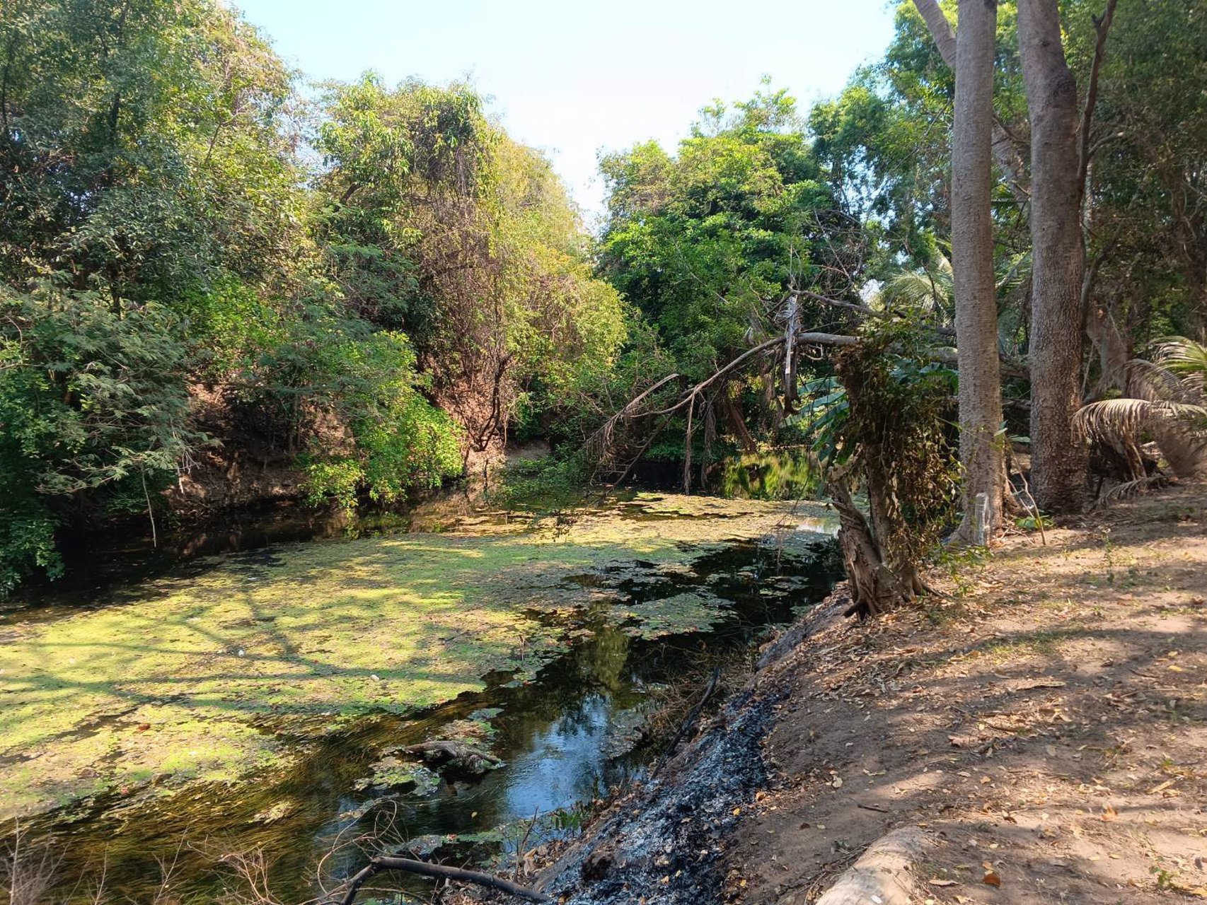 ขายที่ดิน-ทำเลหัวมังกรทองท้องเก็บทรัพย์หางนำโชค