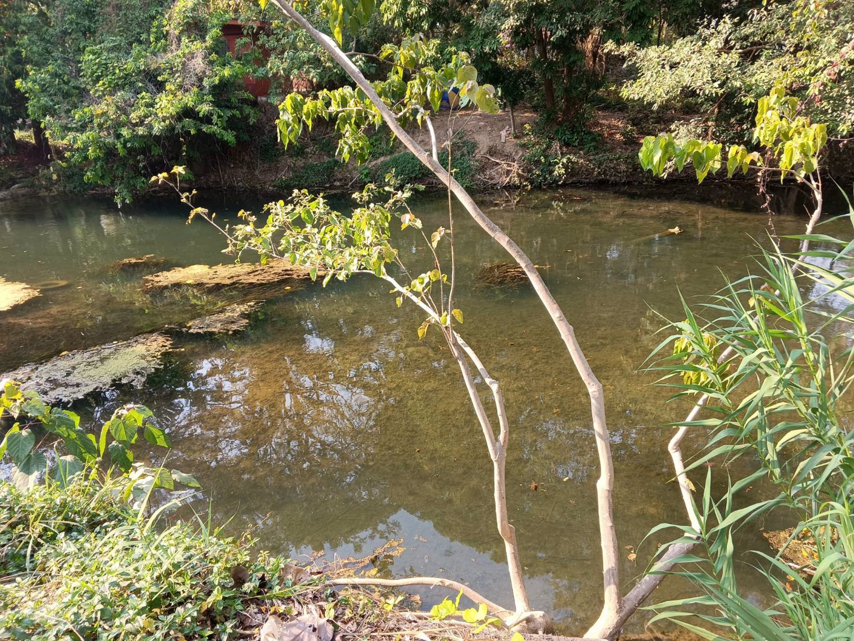 ขายที่ดิน-ทำเลหัวมังกรทองท้องเก็บทรัพย์หางนำโชค