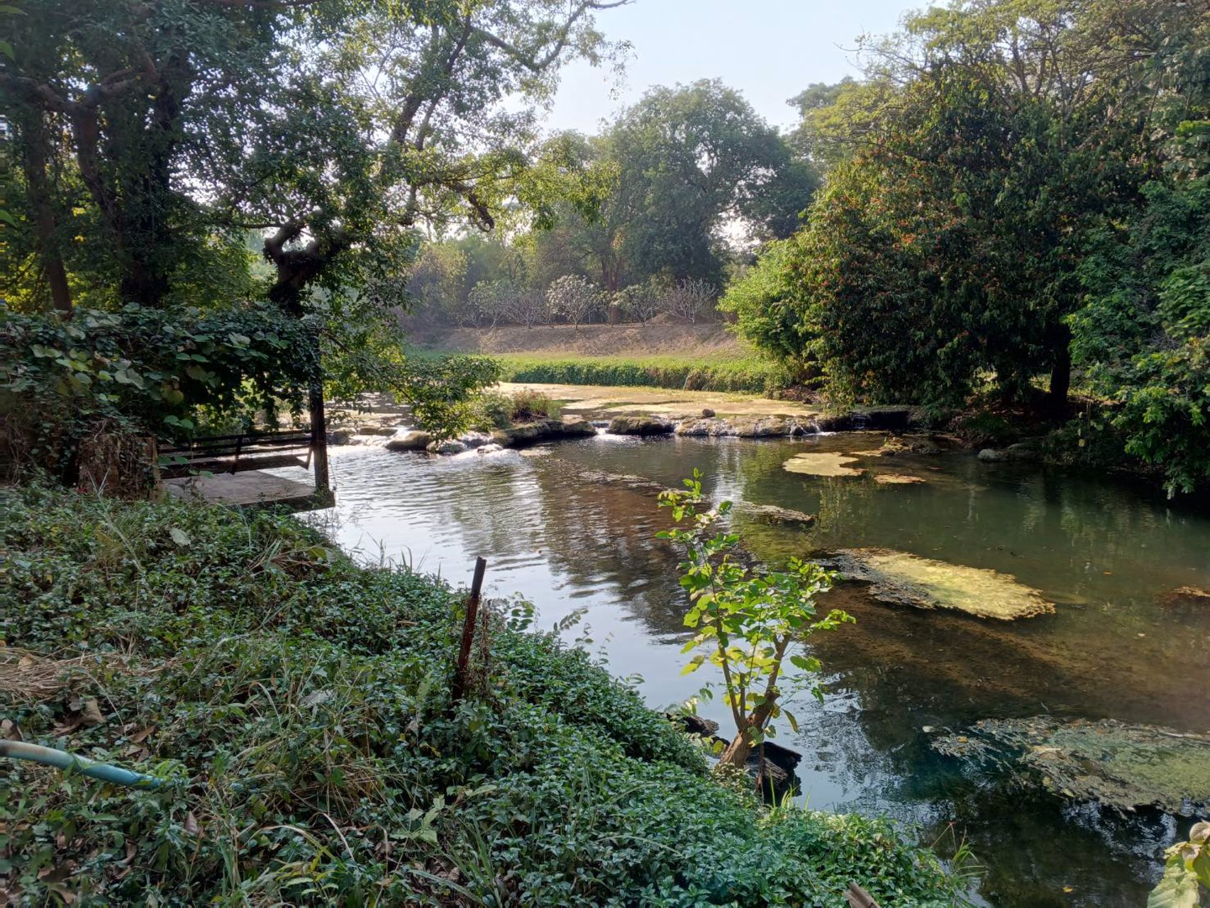 ขายที่ดิน-ทำเลหัวมังกรทองท้องเก็บทรัพย์หางนำโชค