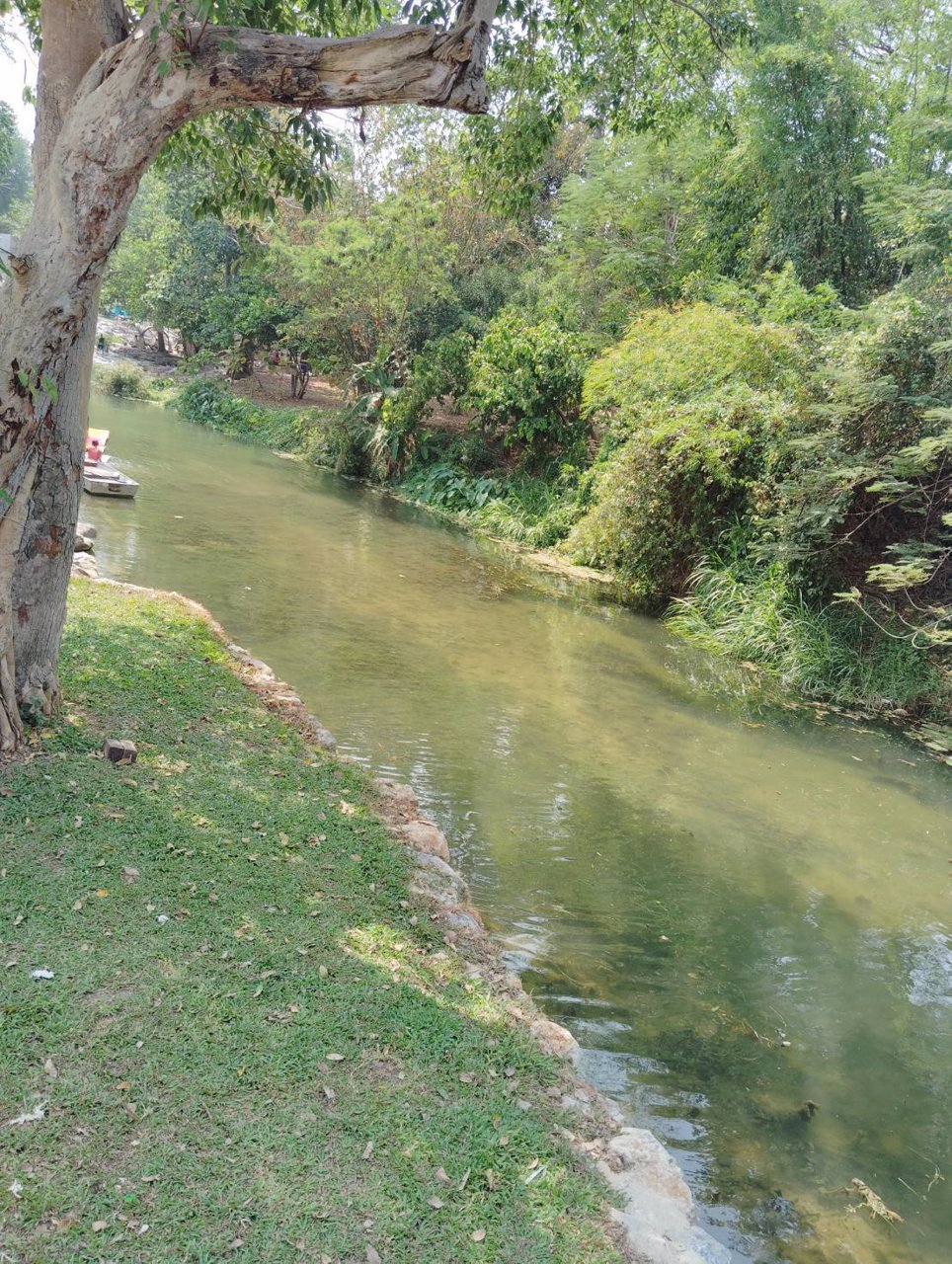 ขายที่ดิน-ทำเลหัวมังกรทองท้องเก็บทรัพย์หางนำโชค