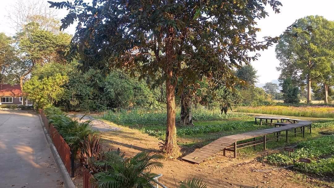 ขายที่ดิน-โครงการศุภาลัย-ป่าสัก-มีสายน้ำทอดยาวสุดตา-มีทิวเทือกผา-ท้าทาย-แดดลม