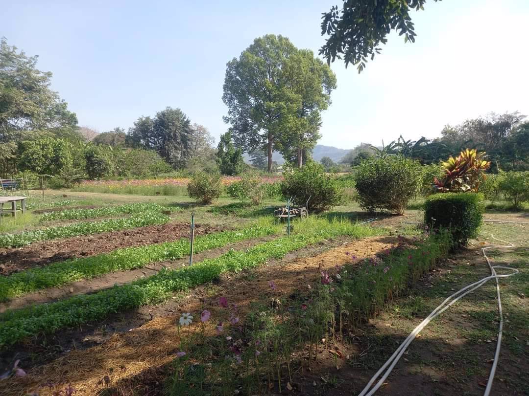 ขายที่ดิน-โครงการศุภาลัย-ป่าสัก-มีสายน้ำทอดยาวสุดตา-มีทิวเทือกผา-ท้าทาย-แดดลม