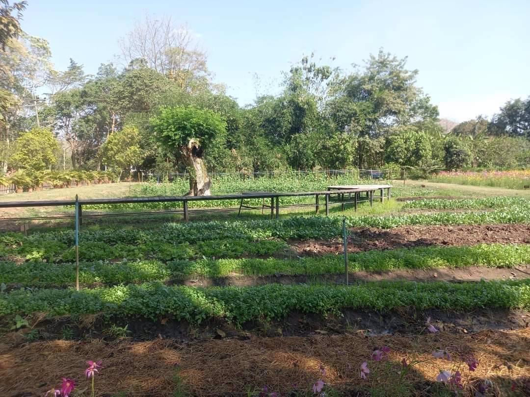 ขายที่ดิน-โครงการศุภาลัย-ป่าสัก-มีสายน้ำทอดยาวสุดตา-มีทิวเทือกผา-ท้าทาย-แดดลม