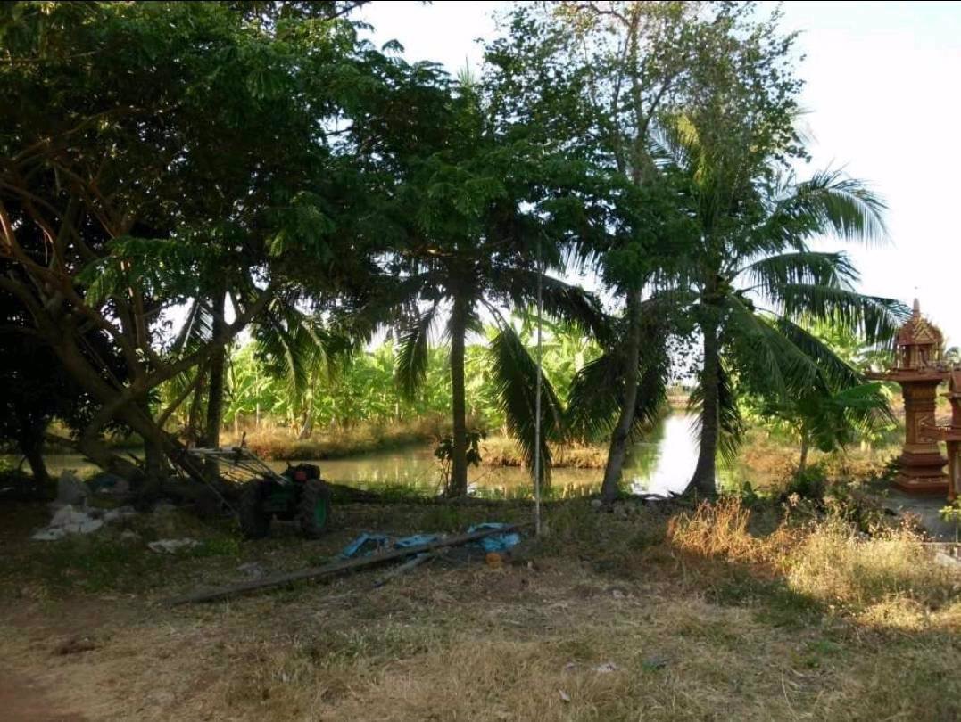 ขายที่ดิน-เนื้อที่-22-ไร่-54ตารางวา-ตำบลสายห้วยแก้ว-อำเภอบ้านหมี่-จังหวัดลพบุรี