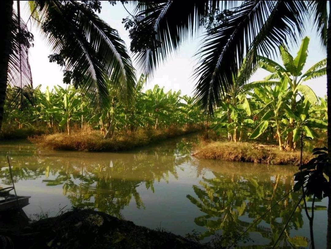 ขายที่ดิน-เนื้อที่-22-ไร่-54ตารางวา-ตำบลสายห้วยแก้ว-อำเภอบ้านหมี่-จังหวัดลพบุรี