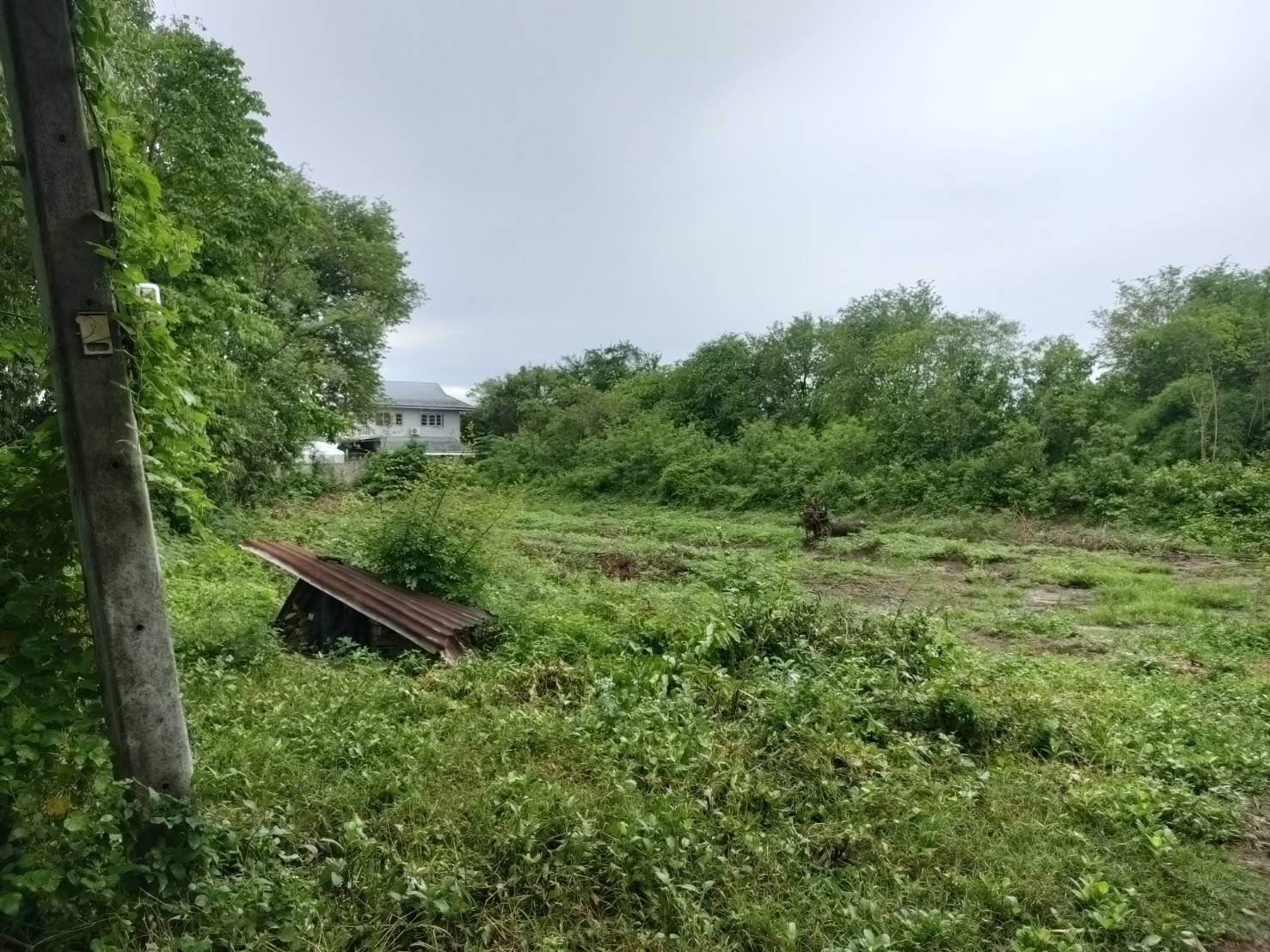 ขายที่ดินเปล่า-1-1-11-ไร่-ซพุรางนิมิตร-5