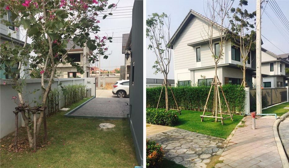 วราบดินทร์-รังสิต-คลอง-3-ขาย-ให้เช่า-บ้านเดี่ยว-58-ตรวา-