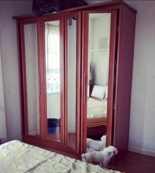 ให้เช่า-ขาย-ชัยพฤกษ์-รังสิต-คลอง-4