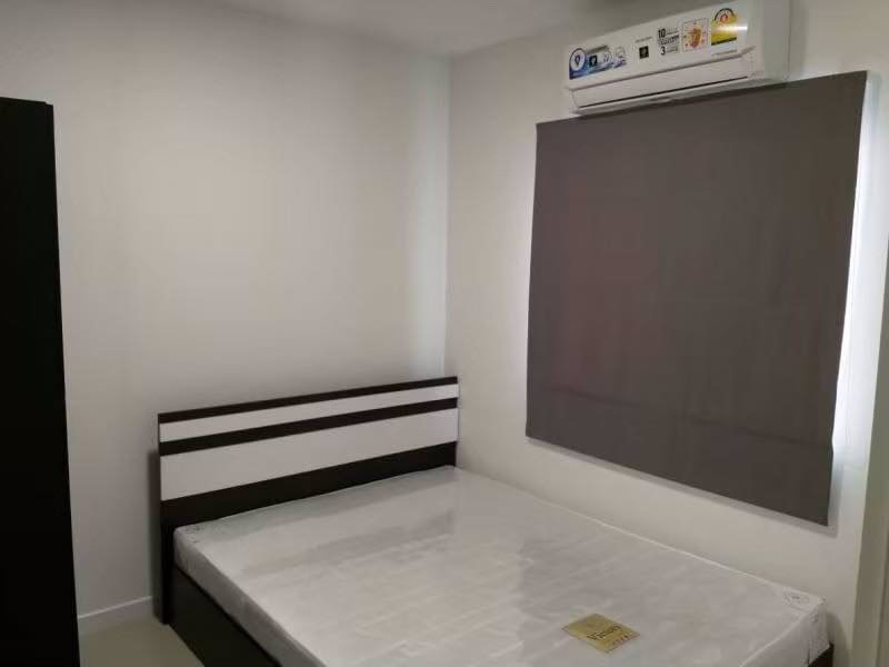 บ้านพฤกษา-คลอง6-เช่า-ทาวน์โฮม-ขนาด-174-ตรว