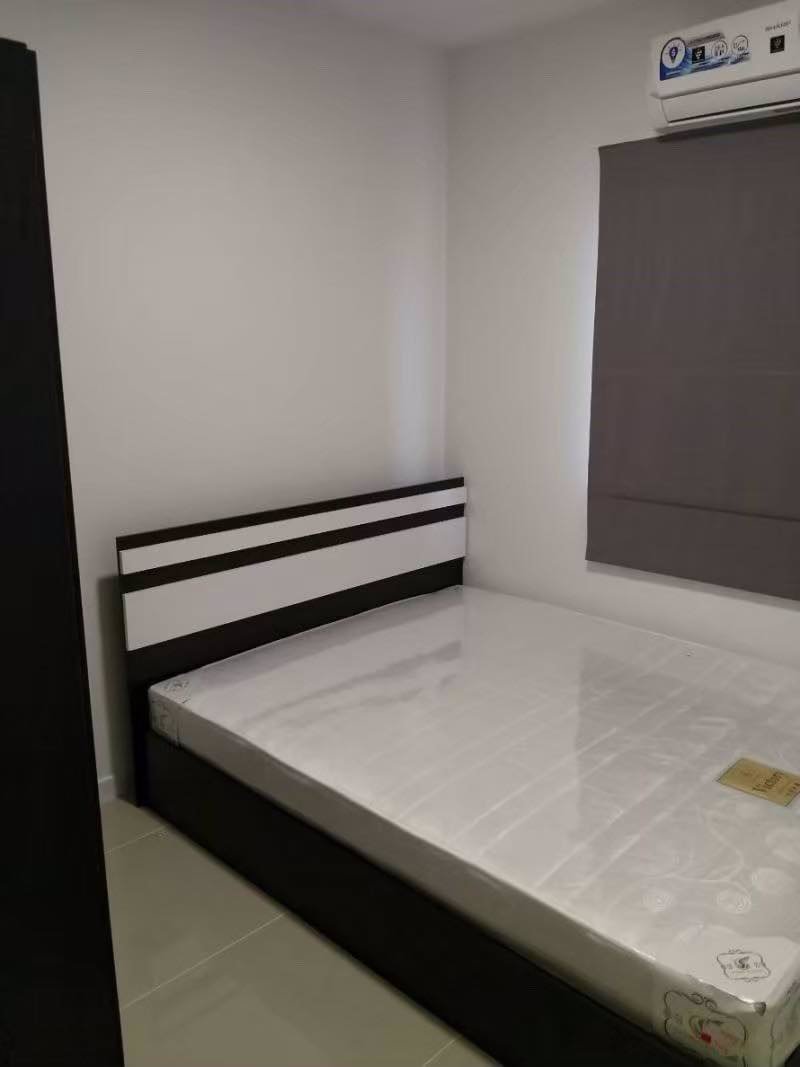 บ้านพฤกษา-คลอง6-เช่า-ทาวน์โฮม-ขนาด-174-ตรว