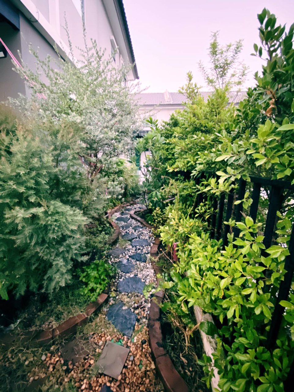 หมู่บ้าน-พฤกษาวิลล์-89-รามอินทรา-วงแหวน-2ชั้น-พื้นที่-254-ตรวา