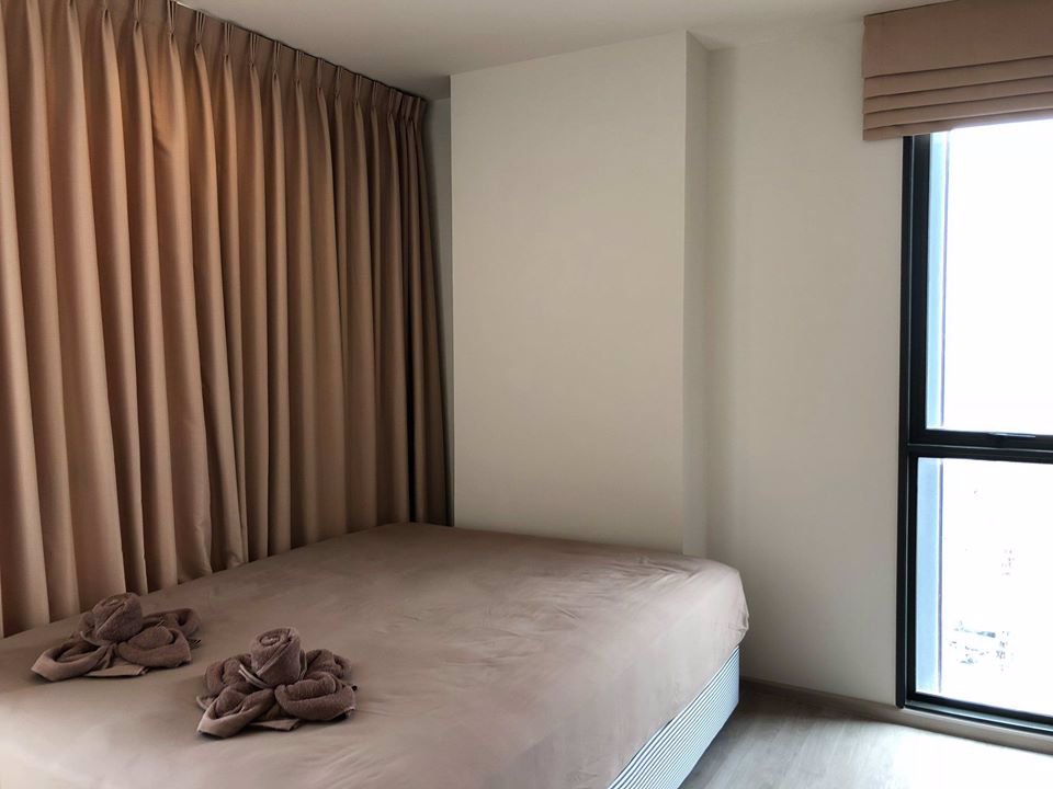 chamber-chaan-วังหิน-ขาย-เช่า-40-ตรม