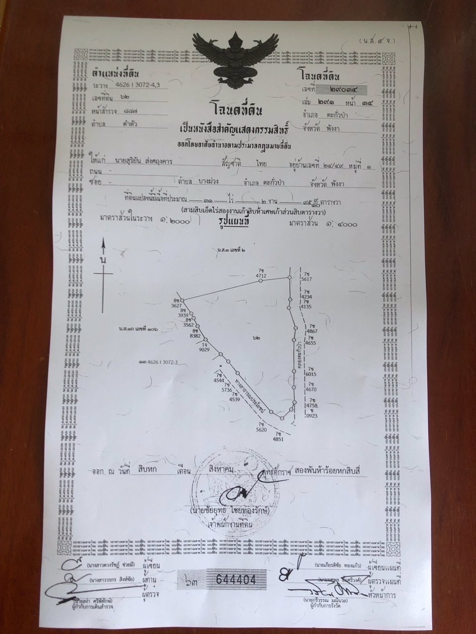 ที่สวย-ปลูกต้นปาล์มไว้แล้วจำนวน650-ต้น-เก็บผลผลิตไดัเลย-เกลี่ยที่ไว้สวยงาม