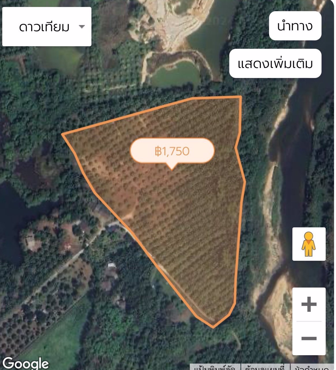 ที่สวย-ปลูกต้นปาล์มไว้แล้วจำนวน650-ต้น-เก็บผลผลิตไดัเลย-เกลี่ยที่ไว้สวยงาม