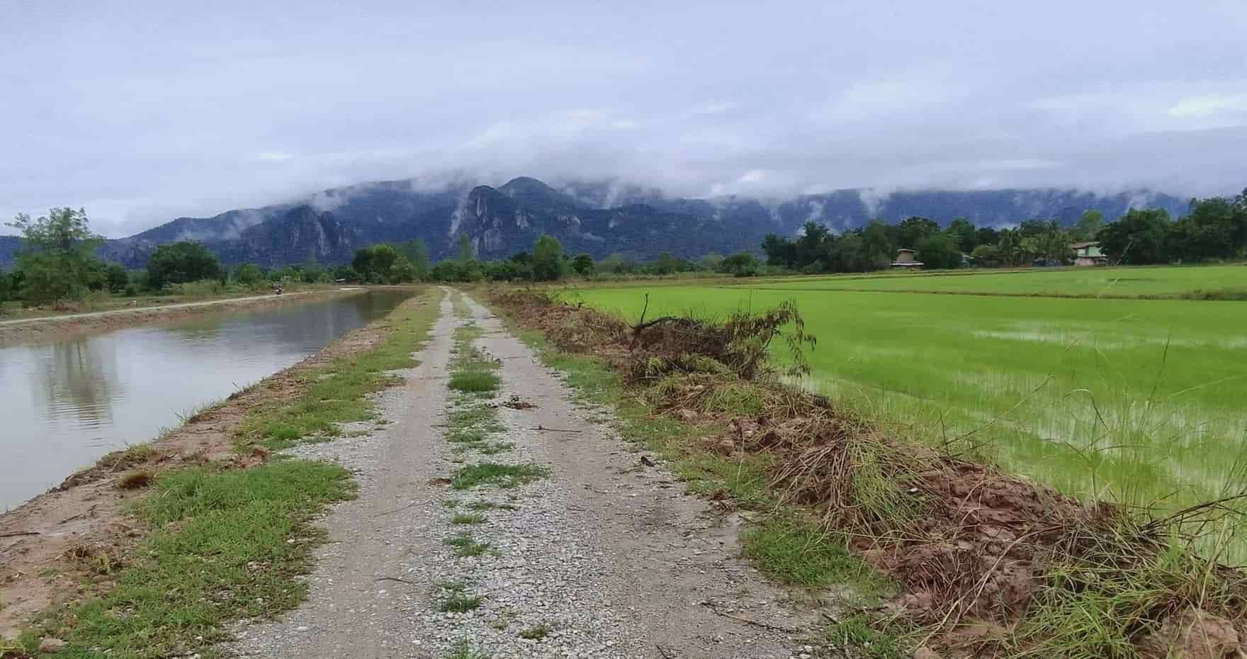 ขายที่ดิน-ตเนินกว้าว-อโกรกพระ-จนครสวรรค์-วิวเขาสวย-เทือกเขาหลวงเฟส-w4