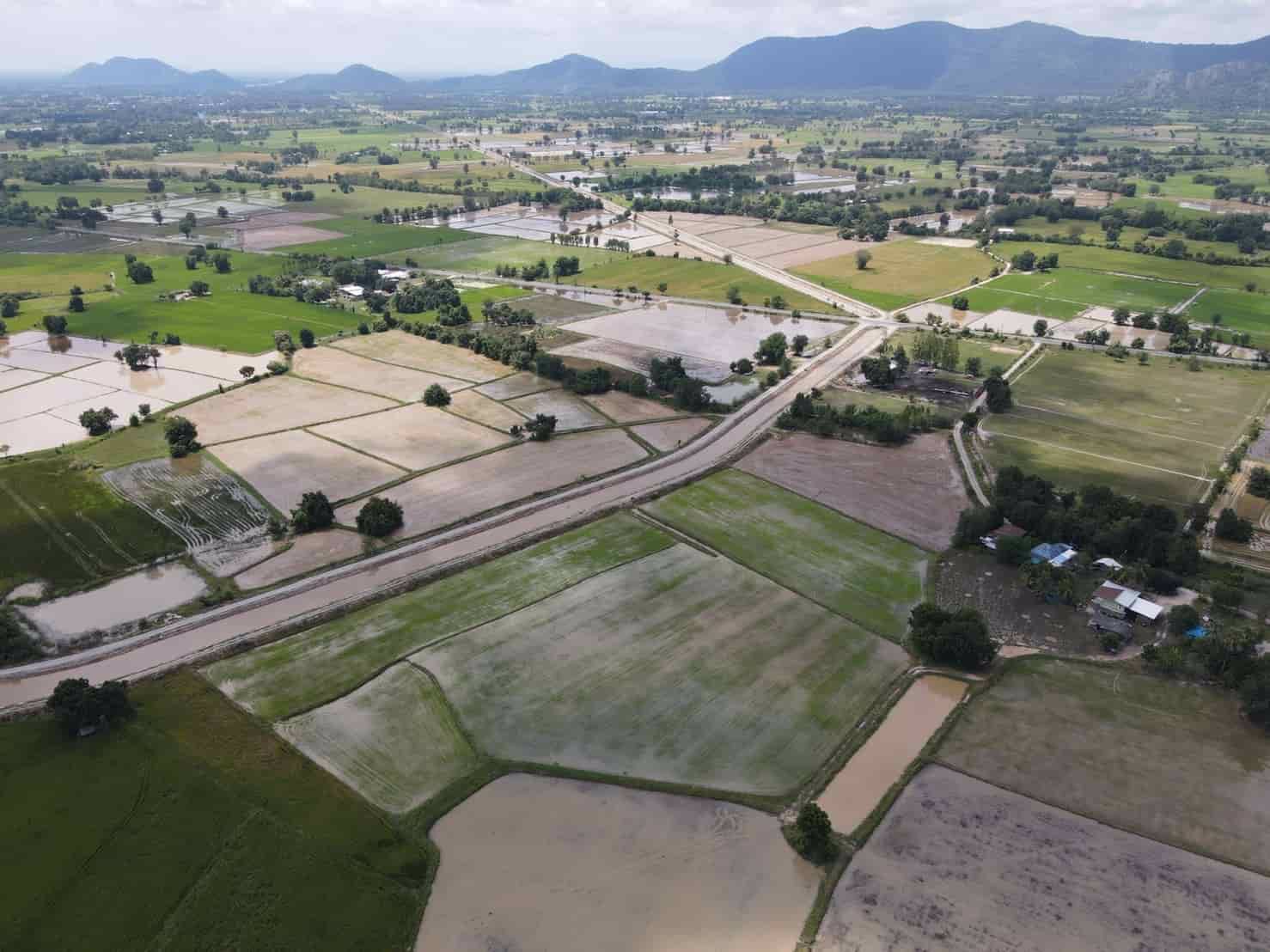 ขายที่ดิน-ตเนินกว้าว-อโกรกพระ-จนครสวรรค์-วิวเขาสวย-เทือกเขาหลวงเฟส-w4