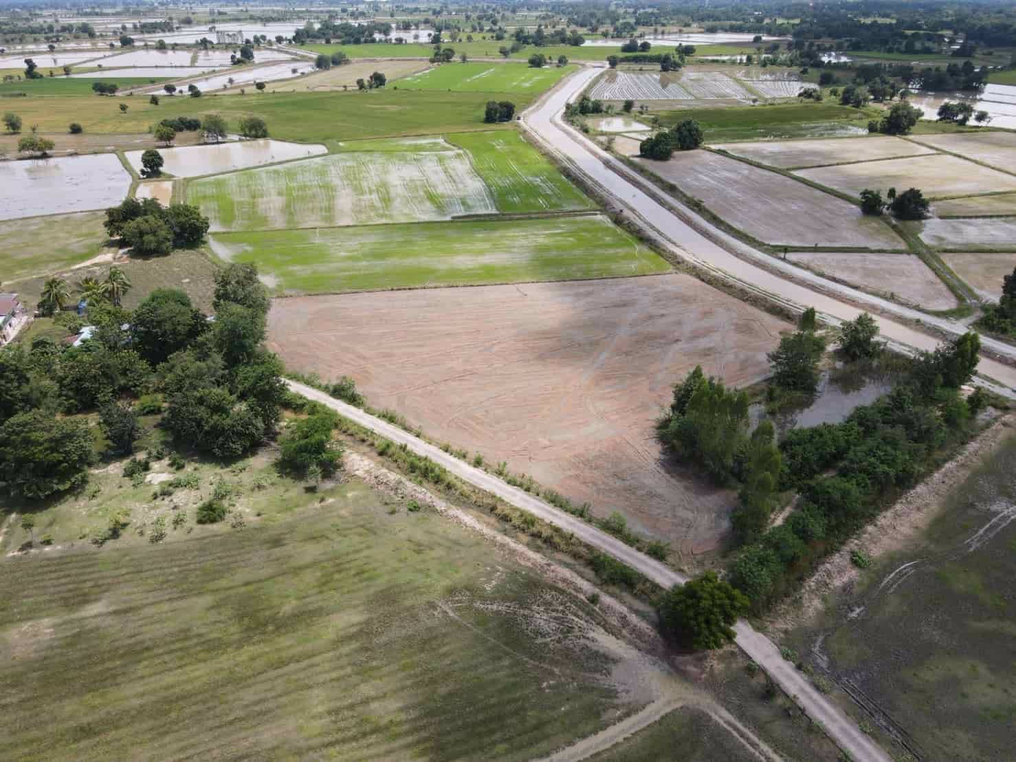 ขายที่ดิน-ตเนินกว้าว-อโกรกพระ-จนครสวรรค์-วิวเขาสวย-เทือกเขาหลวงเฟส-w4