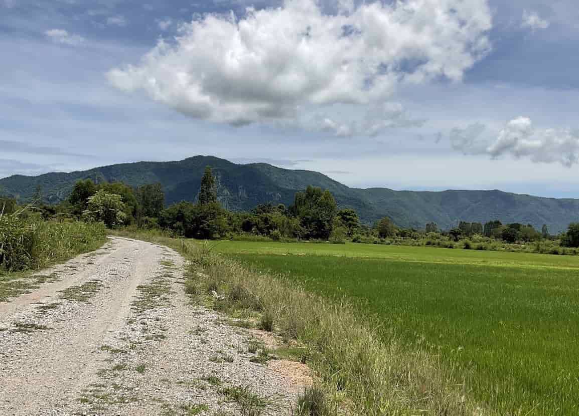 ขายที่ดิน-ตเนินกว้าว-อโกรกพระ-จนครสวรรค์-วิวเขาสวย-เทือกเขาหลวงเฟส-w4