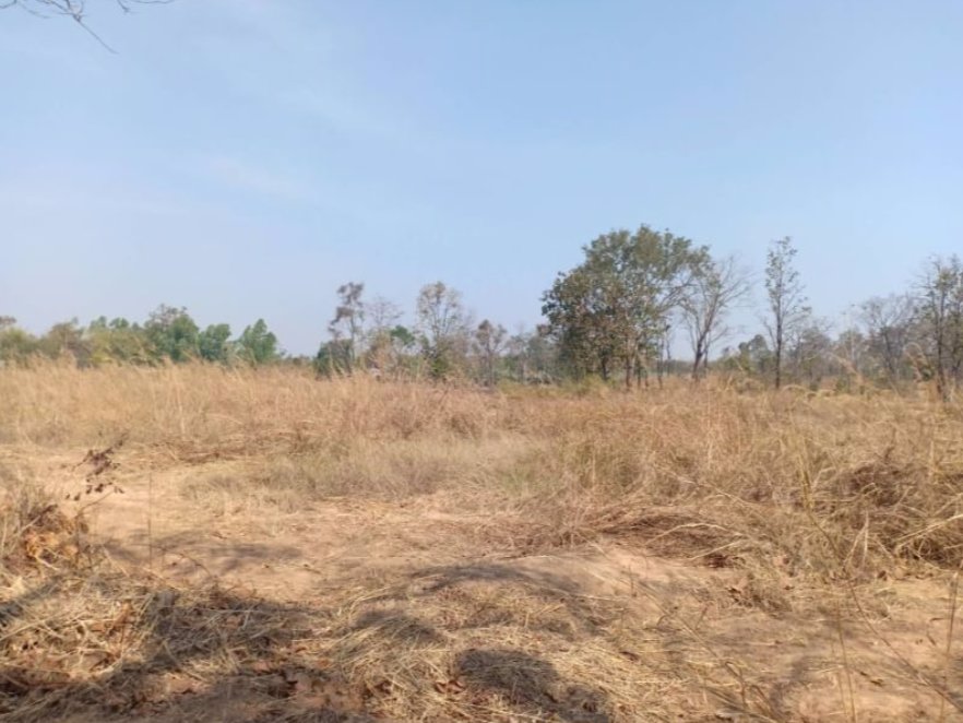 ขายที่ดิน-2-ไร่-ราคา-290000-บาท