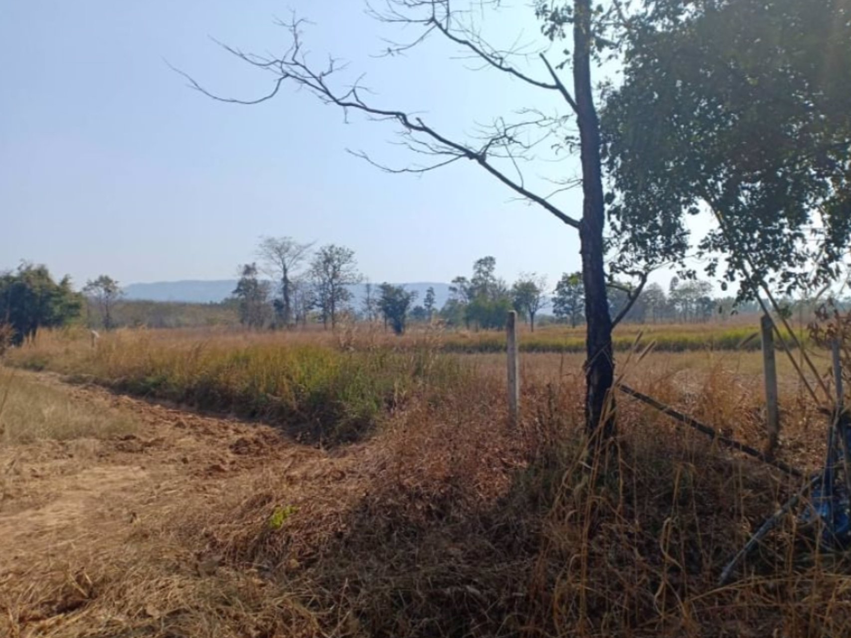 ขายที่ดิน-2-ไร่-ราคา-290000-บาท