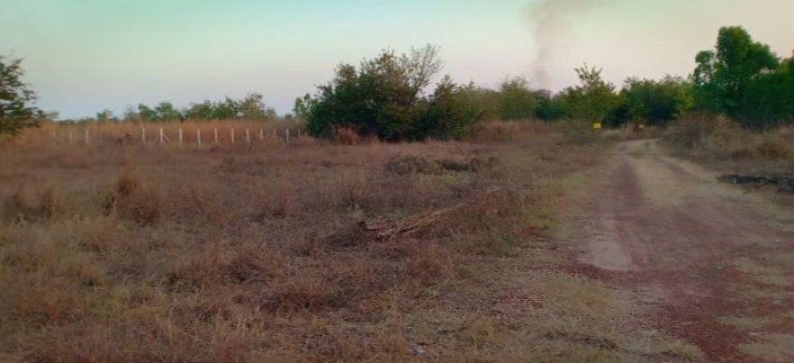 ขายที่ดิน-50-ตรวราคา-99000บาท-ผ่อนวัน100บาท-