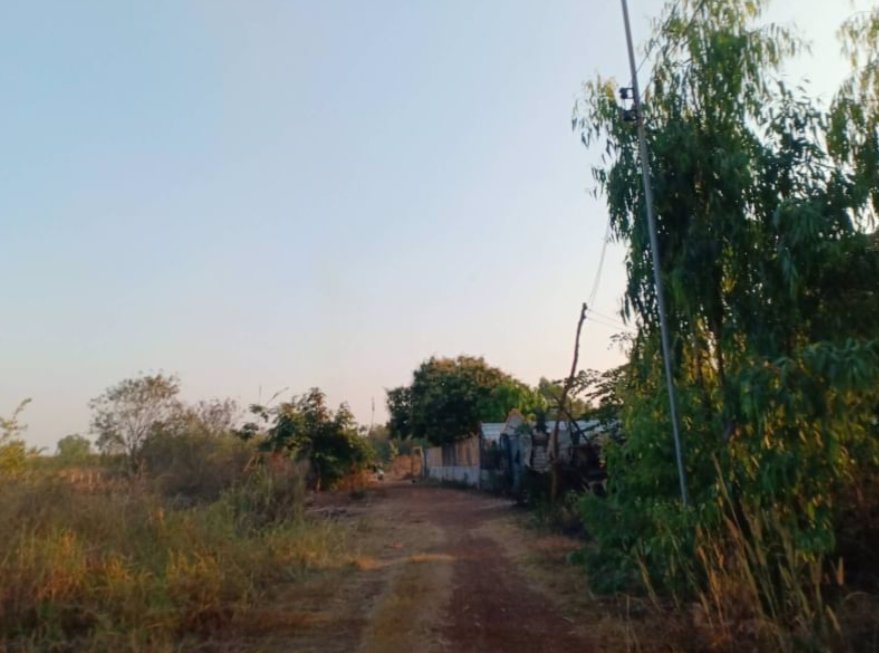 ขายที่ดิน-50-ตรวราคา-99000บาท-ผ่อนวัน100บาท-