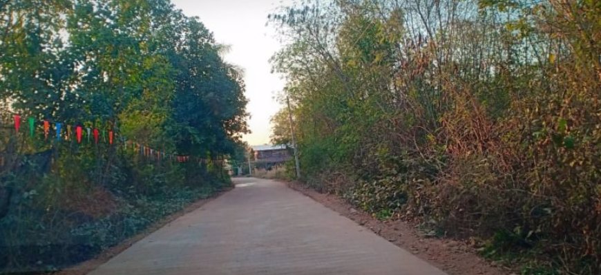 ขายที่ดิน-50-ตรวราคา-99000บาท-ผ่อนวัน100บาท-