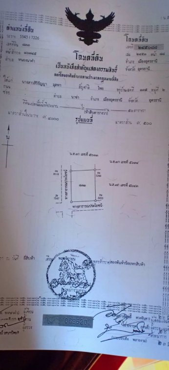 ขายที่ดิน-50-ตรวราคา-99000บาท-ผ่อนวัน100บาท-