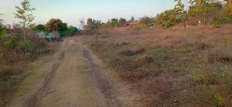 ขายที่ดิน-50-ตรวราคา-99000บาท-ผ่อนวัน100บาท-