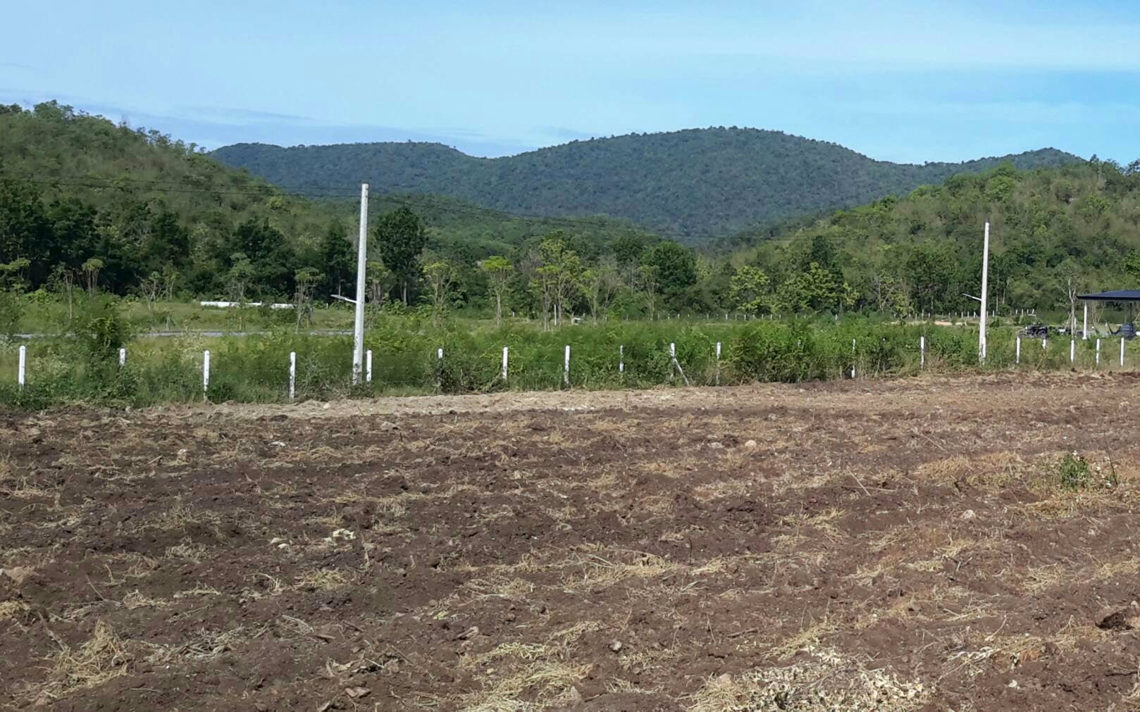 ขายด่วน-ที่ดินจัดล็อค-สำหรับคนต้องการที่แปลงเล็ก-มีวิวภูเขาซ้อนกันโอบล้อม