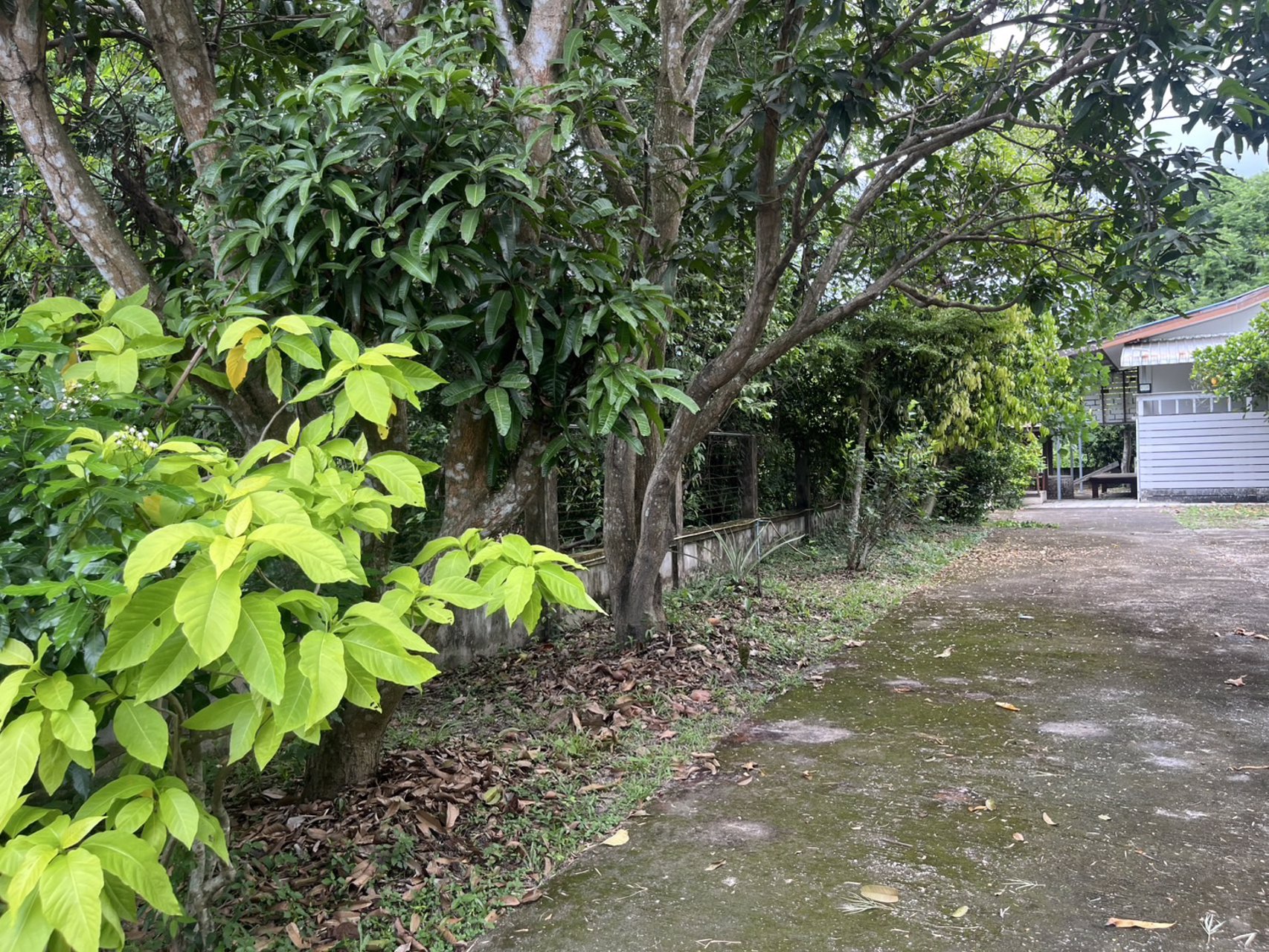 ขายบ้านสวนพร้อมเข้าอยู่-เนื้อที่-278-ตารางวา-มีโฉนด-ใกล้เมืองนครนายก