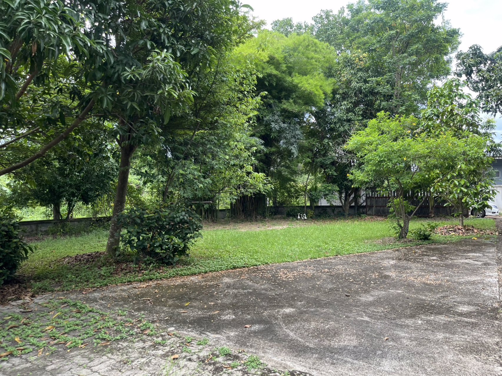 ขายบ้านสวนพร้อมเข้าอยู่-เนื้อที่-278-ตารางวา-มีโฉนด-ใกล้เมืองนครนายก