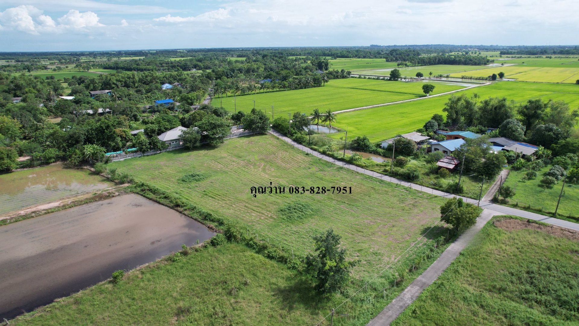 ขายที่ดินถมแล้วเต็มพื้นที่ทั้งแปลง-เนื้อที่-3-ไร่-1-งาน-มีโฉนด-หน้ากว้าง-100-ม