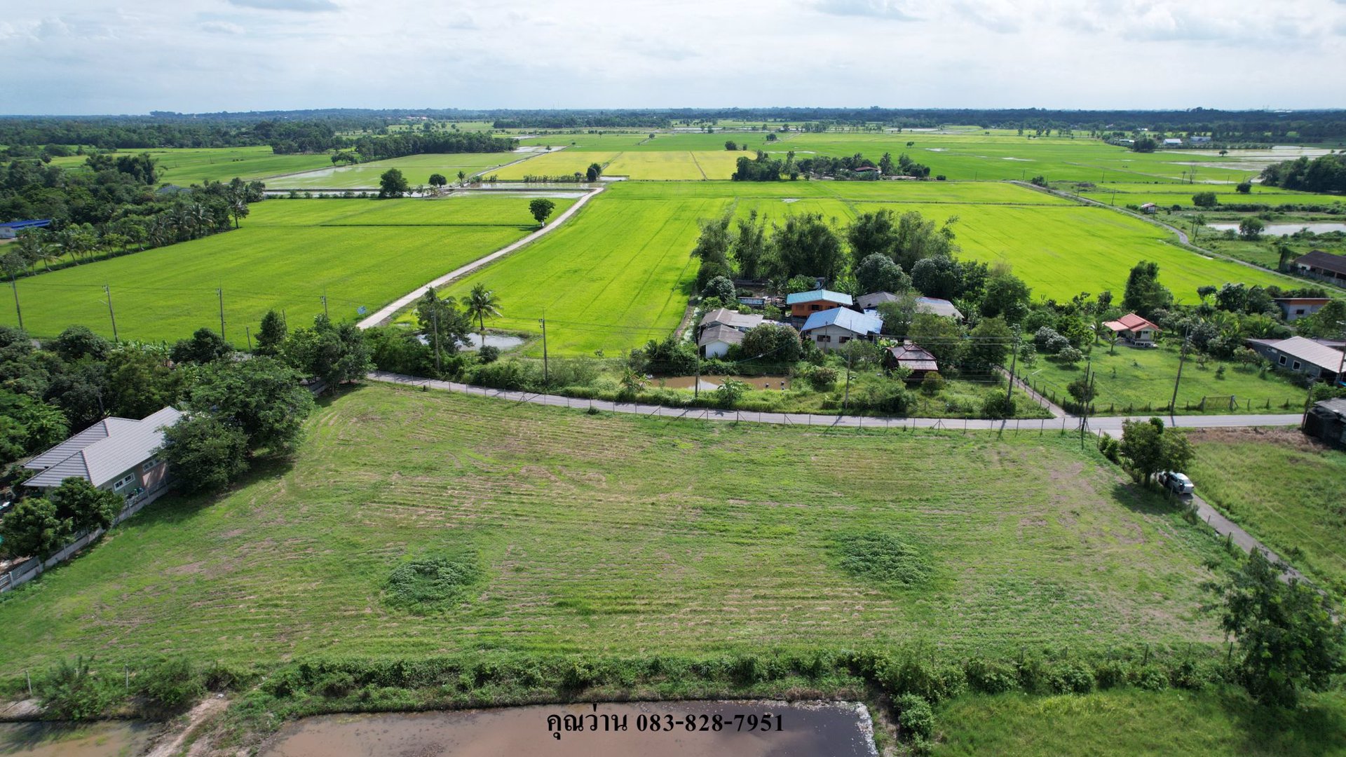 ขายที่ดินถมแล้วเต็มพื้นที่ทั้งแปลง-เนื้อที่-3-ไร่-1-งาน-มีโฉนด-หน้ากว้าง-100-ม