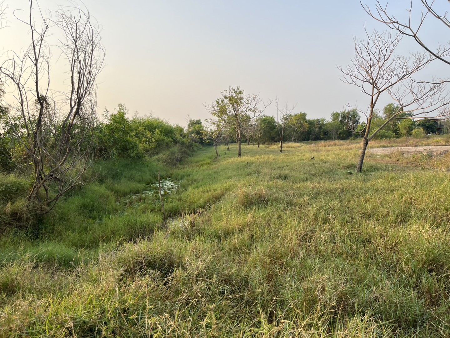 ขายที่ดิน-1-ไร่-มีโฉนด-ครุฑแดง-อเมือง-จนครนายก-ใกล้คาเฟ่-ขาย-720000-บาท