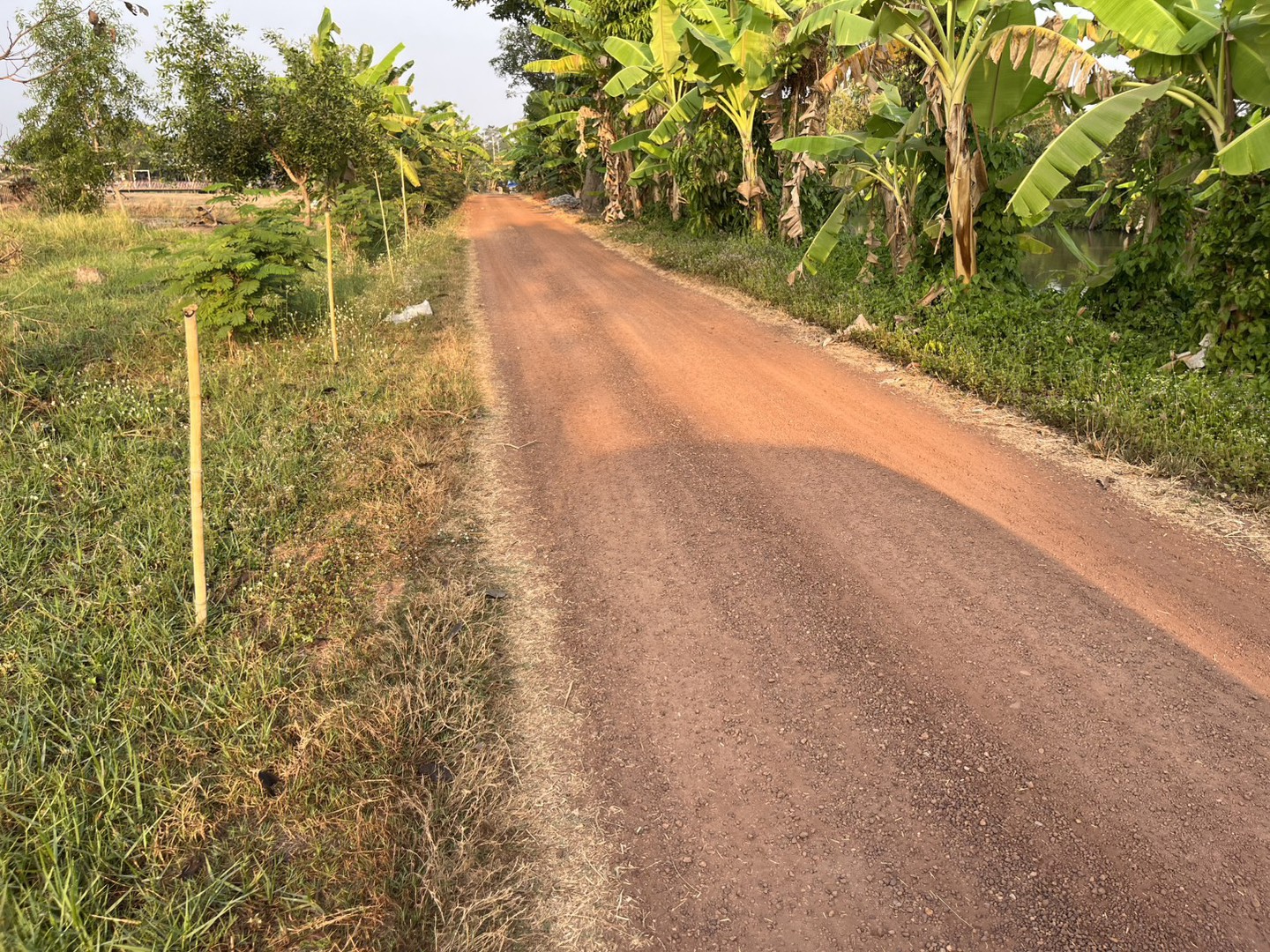 ขายที่ดิน-1-ไร่-มีโฉนด-ครุฑแดง-อเมือง-จนครนายก-ใกล้คาเฟ่-ขาย-720000-บาท