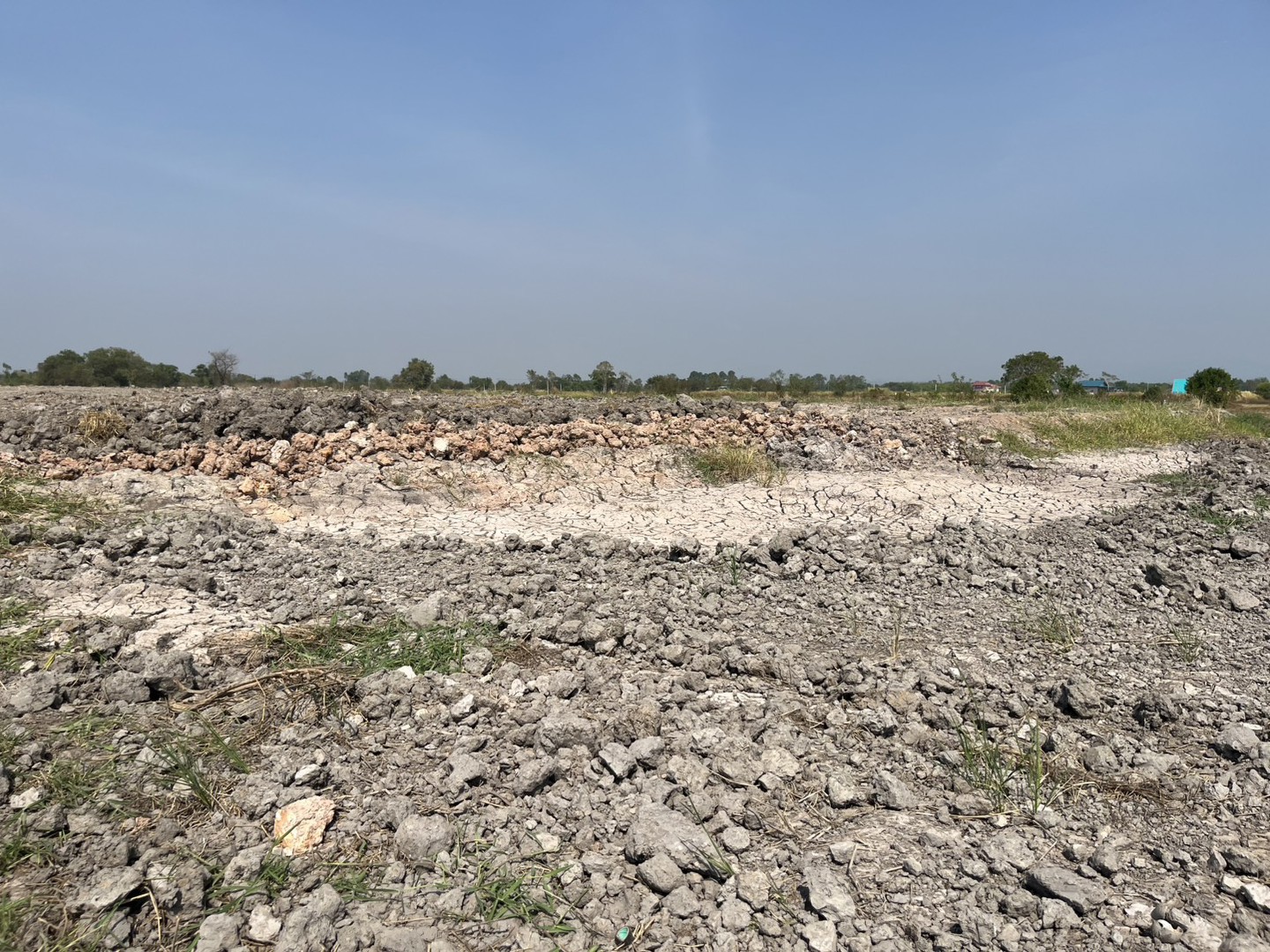 หลุดจอง-ที่ดิน-1-ไร่-มีโฉนด-อปากพลี-ขาย-420000-บาทพร้อมโอน