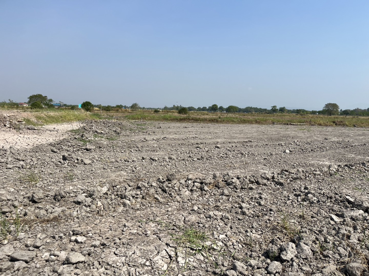 หลุดจอง-ที่ดิน-1-ไร่-มีโฉนด-อปากพลี-ขาย-420000-บาทพร้อมโอน