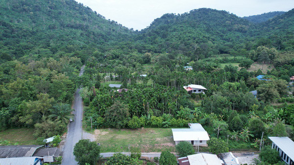 ขายบ้านพร้อมที่ดิน-200-ตารางวา-ตำบลเขาพระ-มีโฉนด-ติดถนนหลัก-เหมาะทำพูลวิลล่า