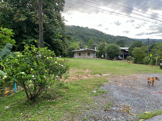 ขายบ้านพร้อมที่ดิน-200-ตารางวา-ตำบลเขาพระ-มีโฉนด-ติดถนนหลัก-เหมาะทำพูลวิลล่า