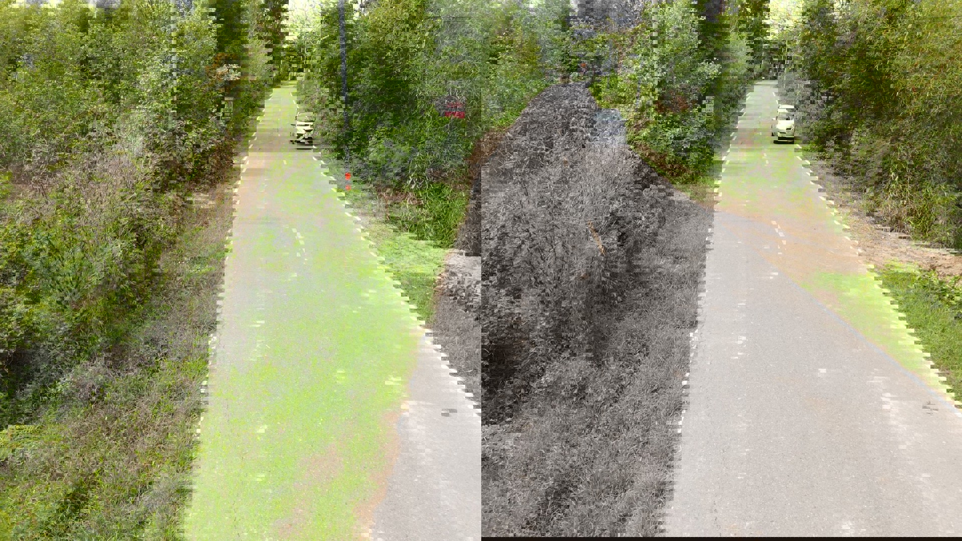 ขายที่ดิน-3-ไร่-321-ตารางวา-ติดถนนลาดยางหลังวัดหลวงพ่อปากแดง-นครนายก-มีโฉนด-ถมแล้ว