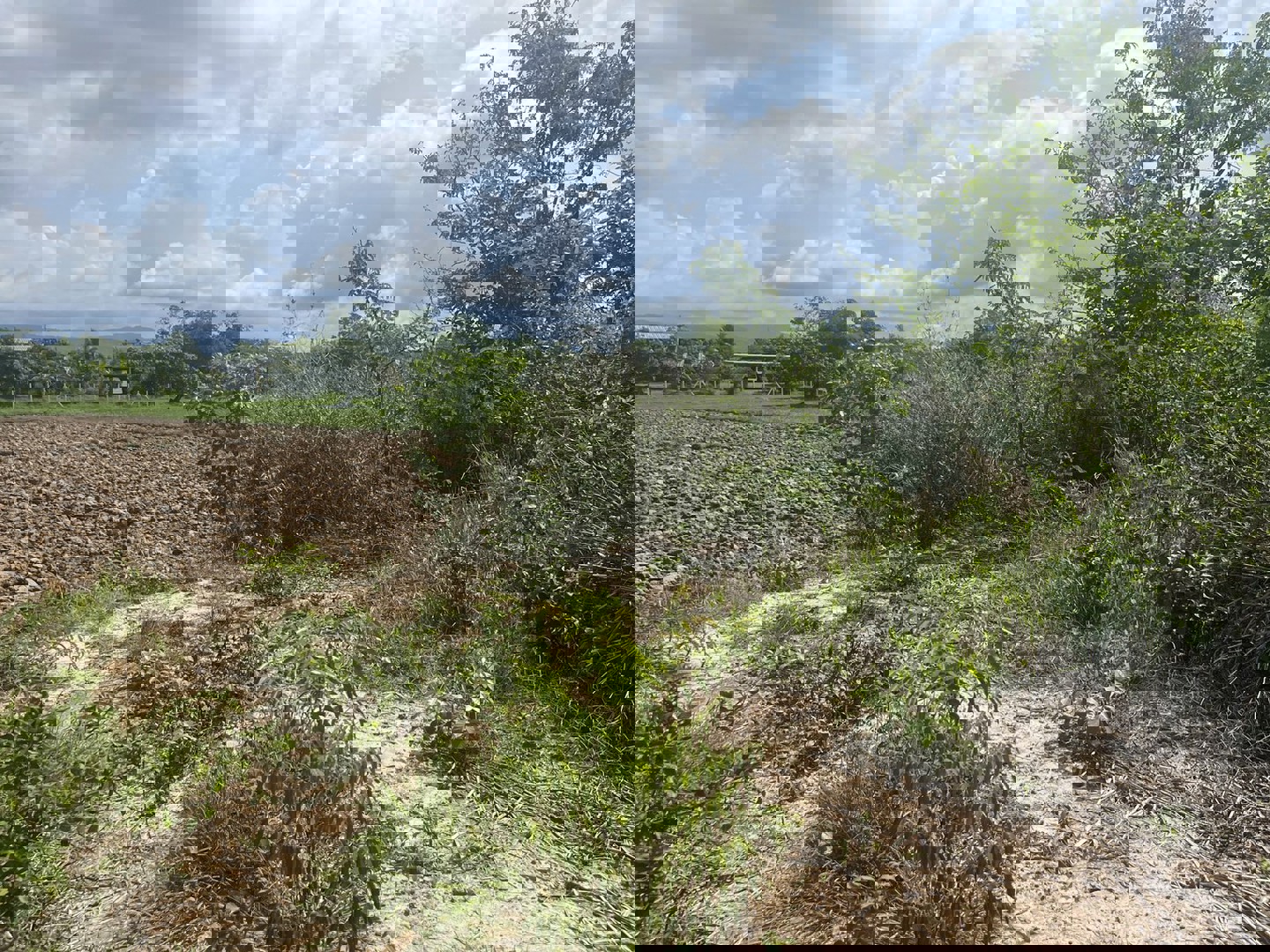 ขายที่ดิน-3-ไร่-321-ตารางวา-ติดถนนลาดยางหลังวัดหลวงพ่อปากแดง-นครนายก-มีโฉนด-ถมแล้ว