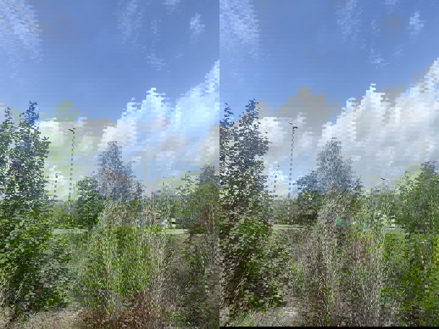 ขายที่ดิน-3-ไร่-321-ตารางวา-ติดถนนลาดยางหลังวัดหลวงพ่อปากแดง-นครนายก-มีโฉนด-ถมแล้ว