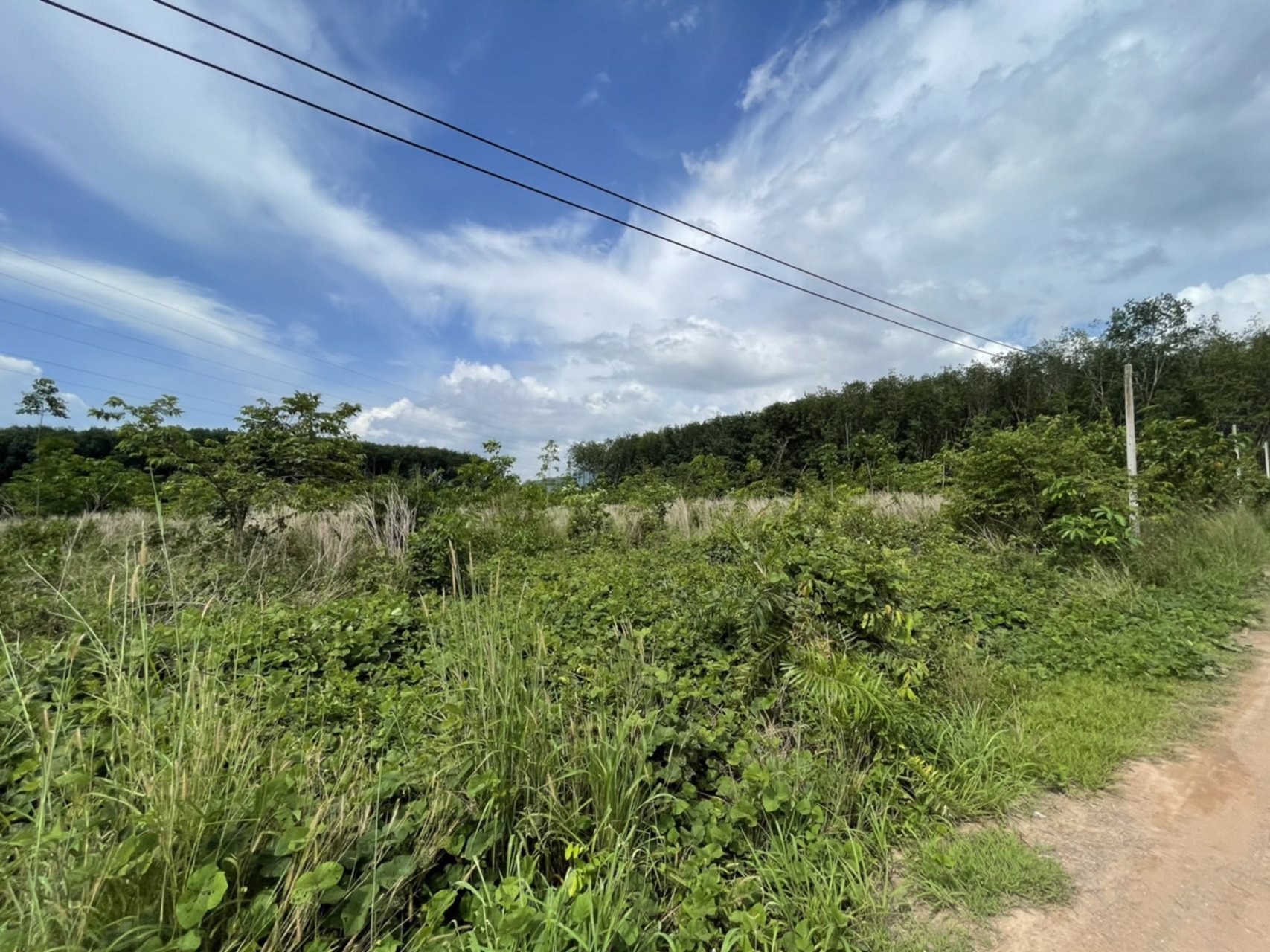 ขายที่ดินทำเลสวยจันทบุรี-9ไร่-2งาน-73ตรว