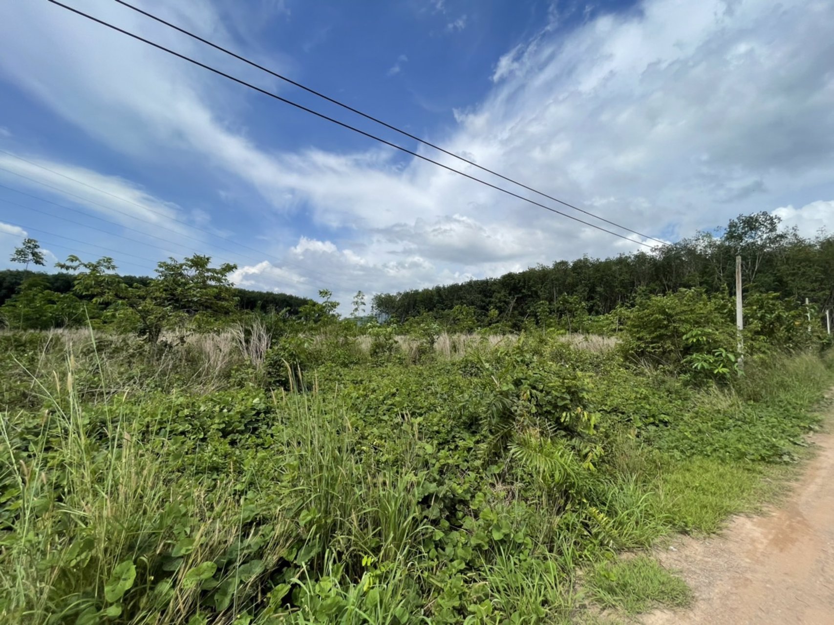 ขายที่ดินทำเลสวยจันทบุรี-9ไร่-2งาน-73ตรว