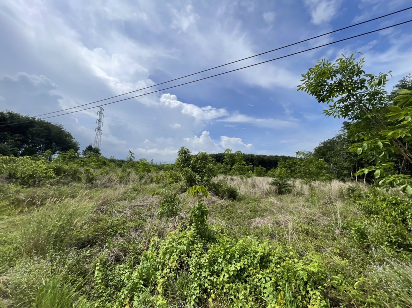 ขายที่ดินทำเลสวยจันทบุรี-9ไร่-2งาน-73ตรว