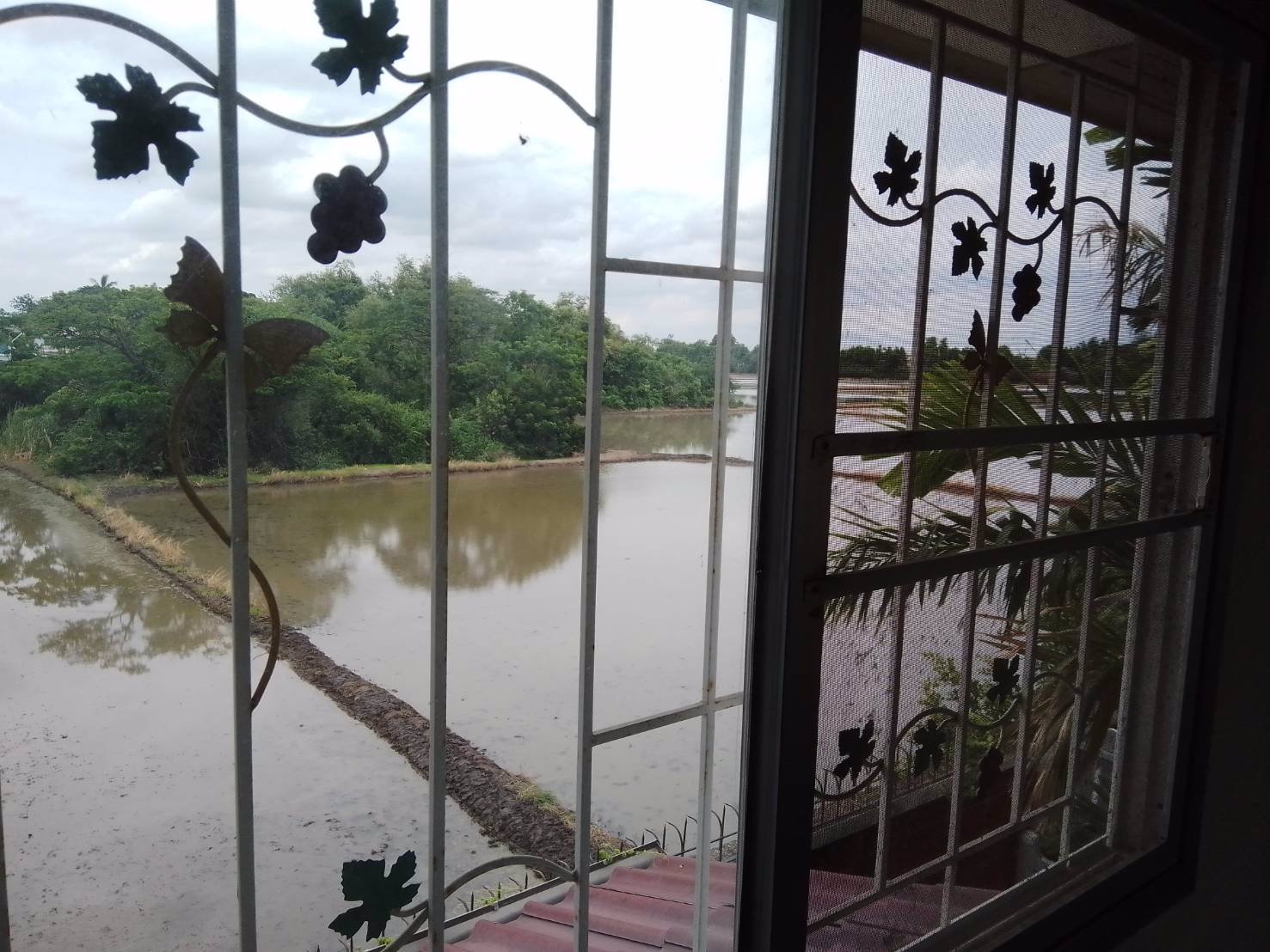 บ้านเดี่ยว-2-ชั้น-หมู่บ้านศุภาลัยวิลล์-วงเวียนรัตนาธิเบศร์-บางใหญ่