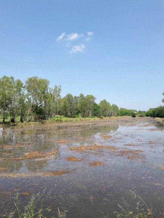 ลดราคาเหลือ-500000-ขายต่ำกว่าราคาประเมิน