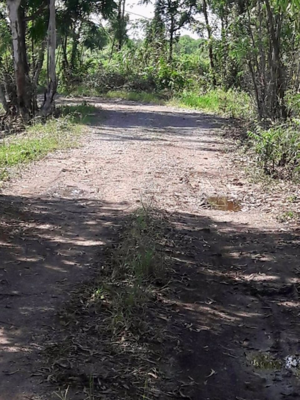 ลดราคาเหลือ-500000-ขายต่ำกว่าราคาประเมิน